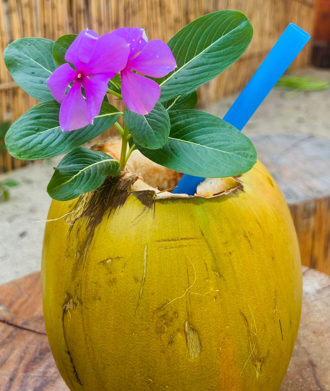 Coquetel Tropical