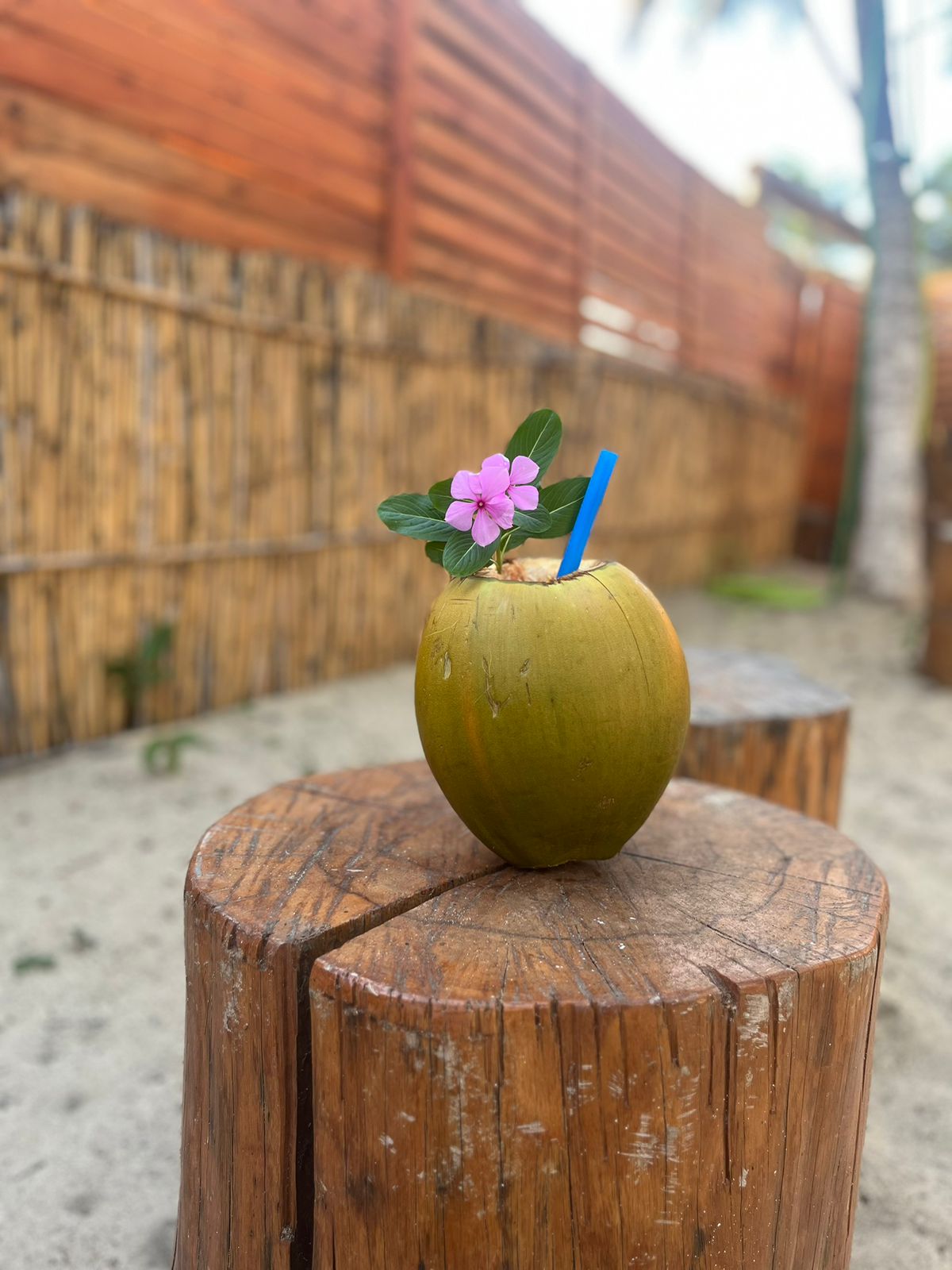 Coquetel Tropical